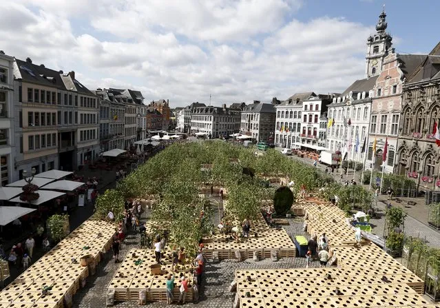 Workers set up a labyrinth made out of  8,000 sunflowers in Mons, Belgium, as part of the city's celebrations as European capital of culture, July 17, 2015. (Photo by Francois Lenoir/Reuters)