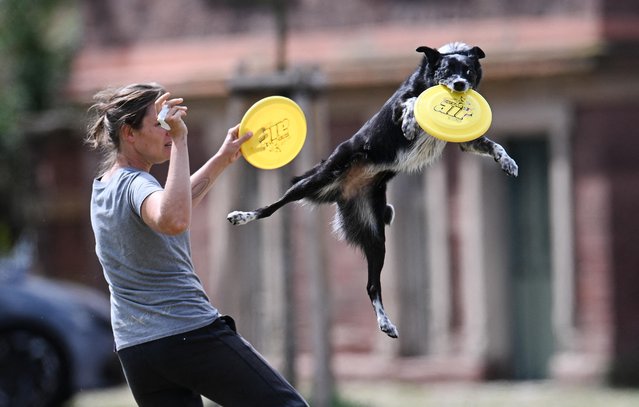 A woman trains her dog to catch a frisbee In Karlsruhe, southern Germany, on August 25, 2024. (Photo by Thomas Kienzle/AFP Photo)