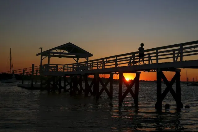 A woman is seen silhouetted while walking a dog at sunset on Manhasset Bay in Port Washington, New York August 5, 2015. (Photo by Shannon Stapleton/Reuters)