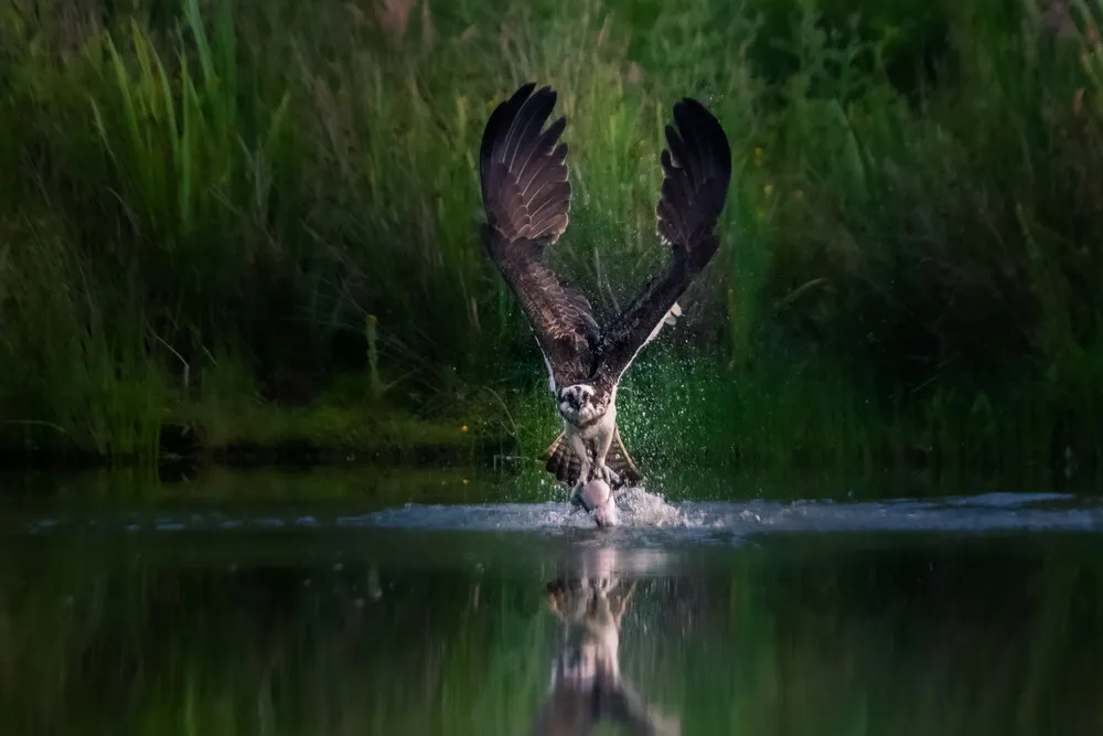 UK National Parks Photography Competition 2020