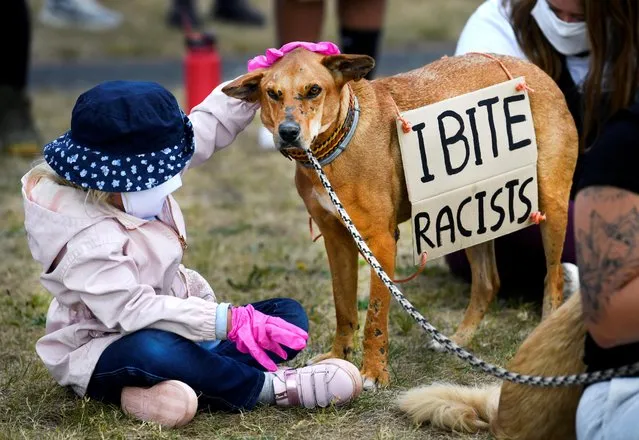 A child pets a dog with a placard attached to it during a protest against the death in Minneapolis police custody of George Floyd, in Maastricht, Netherlands on June 7, 2020. (Photo by Piroschka van de Wouw/Reuters)