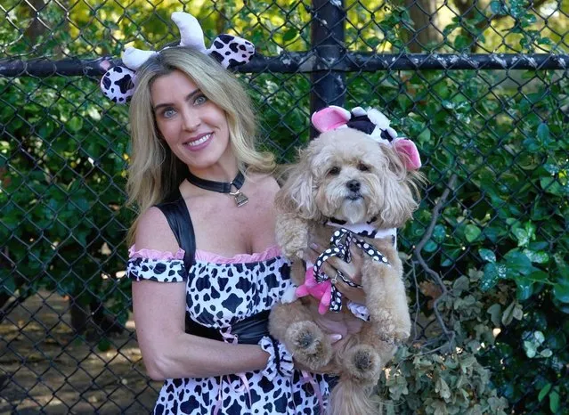 Dogs and their owners compete in the 32nd Tompkins Square Halloween Dog Parade on October 22, 2022, at Tompkins Square in New York City. (Photo by Timothy A. Clary/AFP Photo)