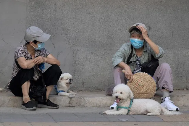 Elderly women wearing masks to curb the spread of the coronavirus chat as they sit on the sideway with their dogs in Beijing, China on Monday, July 13, 2020. China reported only a handful of new virus cases, all of them brought from outside the country, as domestic community infections fall to near zero. (Photo by Ng Han Guan/AP Photo)