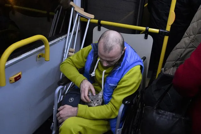 An invalid, evacuee from Kherson pets his cat waiting for someone who can helps him to leave a bus upon his arrival to Dzhankoi, Crimea, Thursday, November 10, 2022. Russian Defense Minister Sergei Shoigu ordered a troop withdrawal from Kherson and nearby areas on Wednesday after his top general in Ukraine reported that a loss of supply routes during Ukraine's southern counteroffensive made a defense “futile”. (Photo by AP Photo/Stringer)