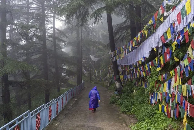 An exile Tibetan Buddhist nun walks in the rain in Dharmsala, India, Saturday, August 20, 2022. (Photo by Ashwini Bhatia/AP Photo)