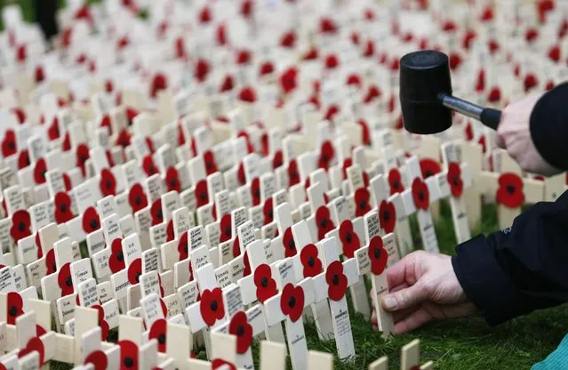 A volunteer plants crosses decorated with poppies in the lawn outside Westminster Abbey in central London, November 3, 2014. (Photo by Andrew Winning/Reuters)