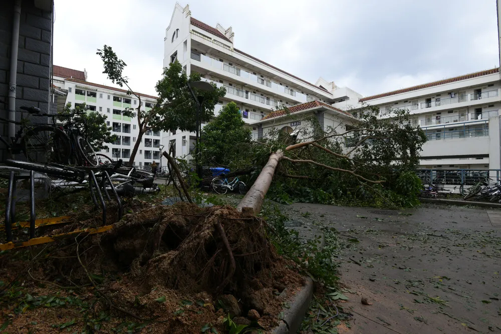 Super Typhoon Meranti's Devastation