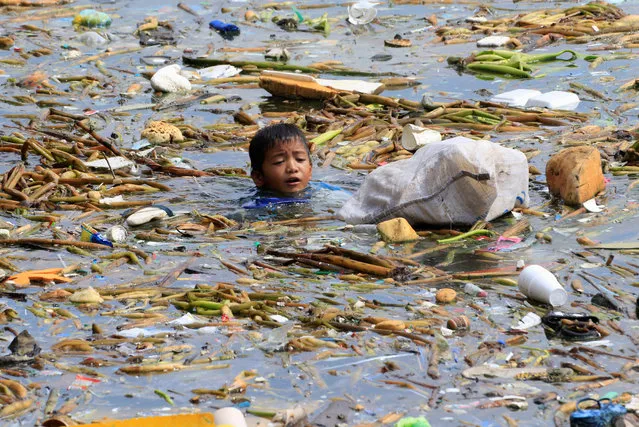 A boy swims as he collects recyclable plastic bottles drifting with garbage along the coast of Manila Bay at the slum area in the Baseco Compound in metro Manila, Philippines October 16, 2017. (Photo by Romeo Ranoco/Reuters)