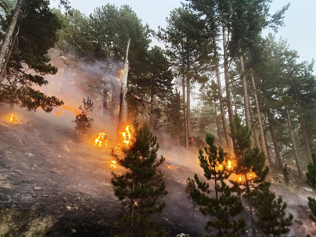 Flames and smoke rise from burning trees as Turkish General Directorate of Forestry teams and firefighters continue their efforts to extinguish the fire that broke out in the forested areas in Alanya and Gazipasa districts of Antalya, Turkiye on July 25, 2025. Following intervention in the fires in five districts with 4 planes, 11 helicopters, numerous water trucks and construction equipment, the fires in Aksu, Muratpasa and Manavgat districts were brought under control. (Photo by Mustafa Kurt/Anadolu via Getty Images)