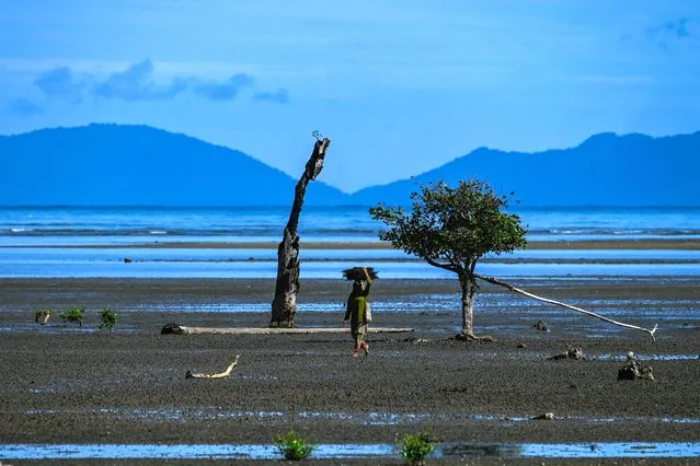 A woman walks home after fishing at a beach in Peukan Bada in Indonesia's Aceh province on February 1, 2023. (Photo by Chaideer Mahyuddin/AFP Photo)