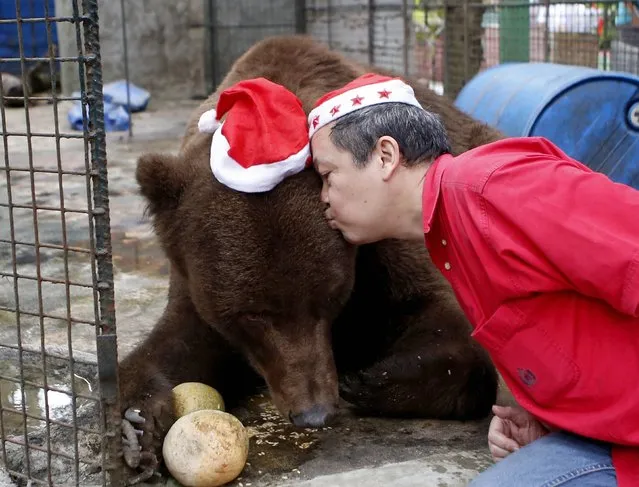 Zoo owner Manny Tangco kisses a grizzly bear during the Animal Christmas party at Malabon Zoo in Manila December 18, 2014. (Photo by Erik De Castro/Reuters)