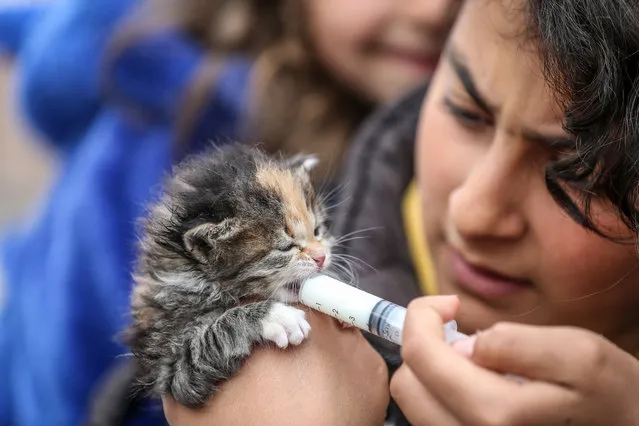A girl feeds the new-born kitten as the family, living in tent city, adopted two kittens, found under the rubble, after 7.7 and 7.6 magnitude earthquakes hit in Hatay, Turkiye on March 15, 2023. (Photo by Sergen Sezgin/Anadolu Agency via Getty Images)