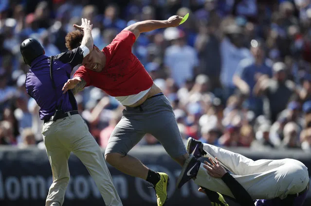 A runner, center, is corralled by field guard Brandon Glader, left, after running over field guard Mike Owen while interrupting the top of the sixth inning in the of a baseball game between the Chicago Cubs and the Colorado Rockies, Sunday, April 22, 2018, in Denver. The Cubs won 9-7. (Photo by David Zalubowski/AP Photo)
