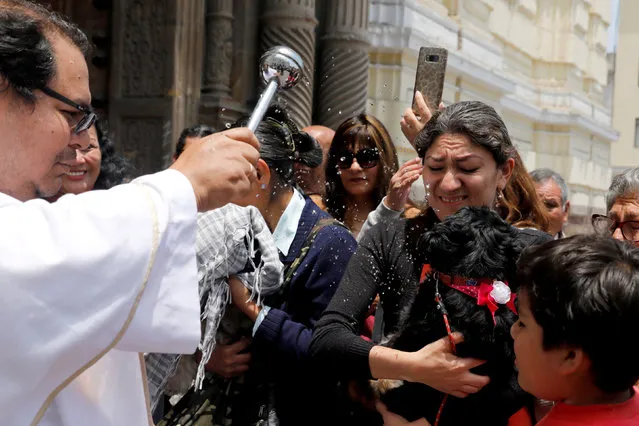 Pet owners attend a religious and blessing ceremony to honour the feast of Saint Francis of Assisi outside the San Francisco Church in Lima, Peru September 30, 2018. (Photo by Guadalupe Pardo/Reuters)