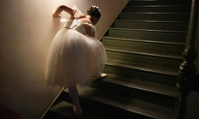 A ballet dancer adjusts her ballet slipper, before performing on the second night of a Ballet production at the Municipal Theater in Rio de Janeiro, Brazil on June 20, 2018. (Photo by Carl de Souza/AFP Photo)