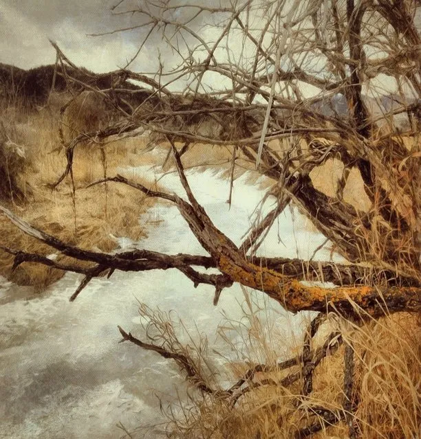 “Frozen Creek”. (Photo by ShaneMartinArt)