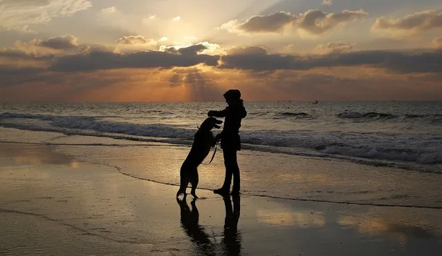 A Palestinian girl plays with her dog at sunset in Gaza City, Monday, January 11, 2016. (Photo by Hatem Moussa/AP Photo)