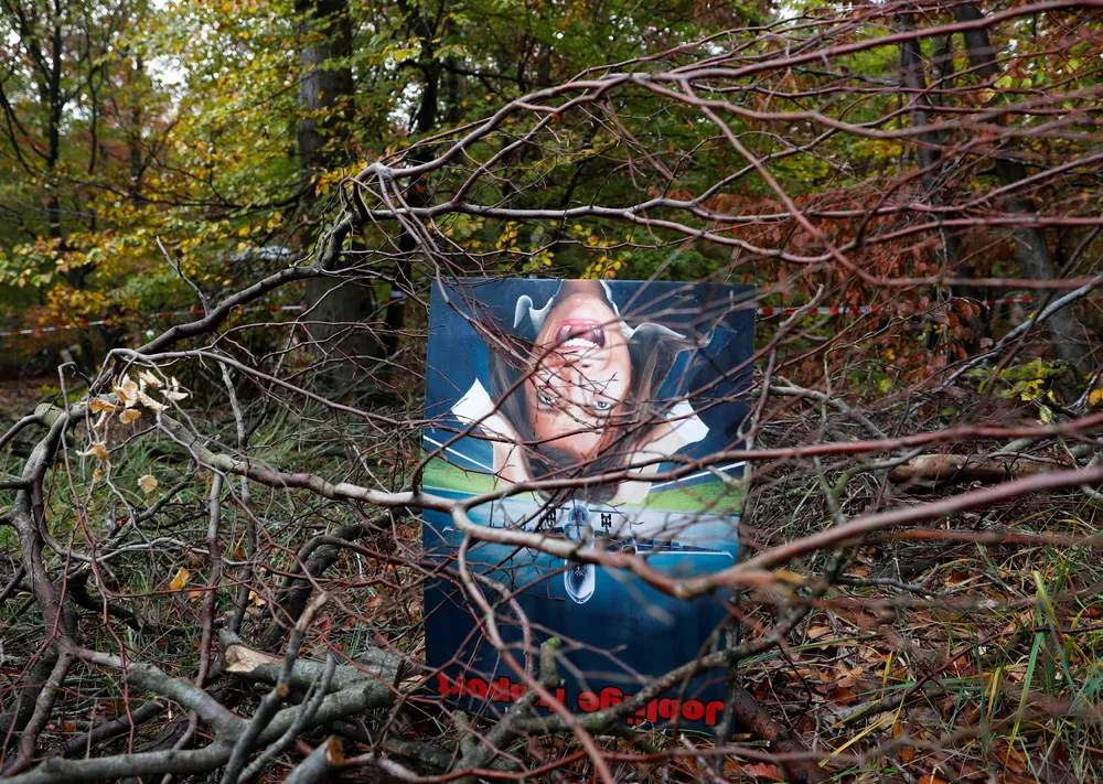 The Day in Photos – November 11, 2018