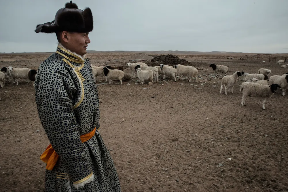 Mongolian Herders