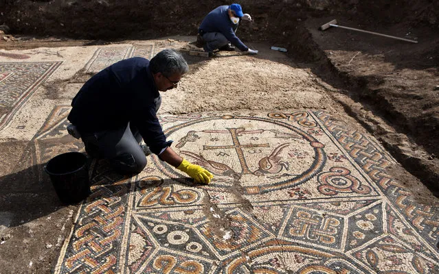 Israeli archaeologists excavate a 1500-year-old floor mosaic depicting the resurrection of Jesus Christ, in a newly-discovered church dating back to the Byzantine era, in the village of Aluma in southern Israel on January 22, 2014. Experts say the Christogram deliberately excluded human depiction of Jesus because of its position on the floor where worshippers would tread. (Photo by Menahem Kahana/AFP Photo)