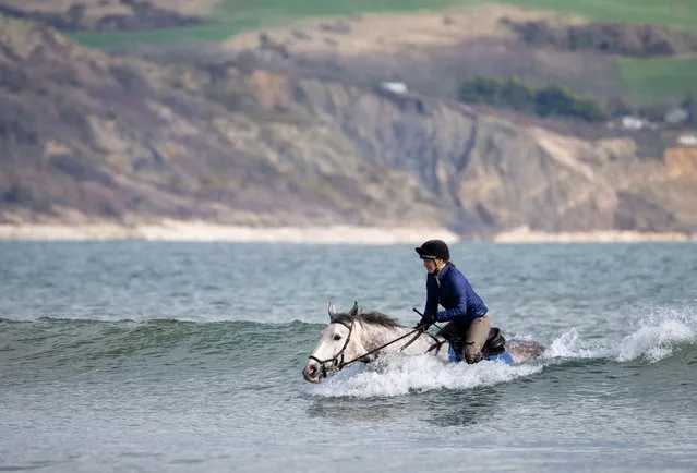 A white horse and rider catch a wave during a swim in the sea at Weymouth beach, on February 24, 2024 in Weymouth, United Kingdom. (Photo by Finnbarr Webster/Getty Images)