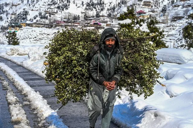 A man carries firewood as he walks down a snow laden road in Kalam on March 4, 2024. (Photo by Abdul Majeed/AFP Photo)