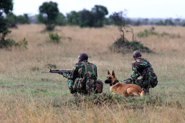 A special unit of wildlife rangers demonstrate an anti-poaching exercise ahead of the Giants Club Summit of African leaders and others on tackling poaching of elephants and rhinos, Ol Pejeta conservancy near the town of Nanyuki, Laikipia County, Kenya, April 28, 2016. (Photo by Siegfried Modola/Reuters)