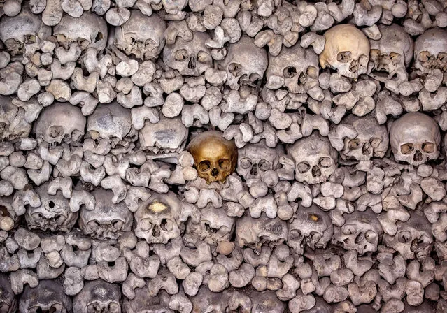 A skull painted gold stands out from amongst the 20 000 skeletons stored in the church ossuary of the Katharinenkirche in Oppenheim some 50 kilometers south of Frankfurt, Germany, Sunday, May 23, 2021. (Photo by Michael Probst/AP Photo)
