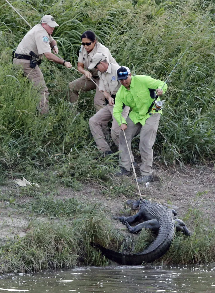 The Day in Photos – July 10, 2015