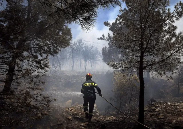 Firefighter sprays water to extinguish a forest fire in an Athens neighborhood July 17, 2015. (Photo by Yannis Behrakis/Reuters)