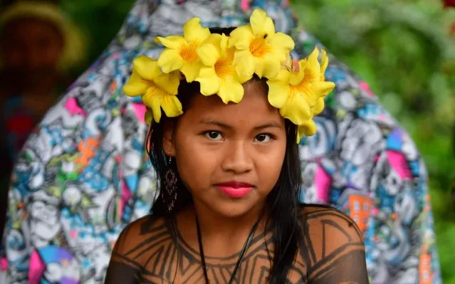 An Embera indigenous child attends the preparation of a giant “patacon” – fried flattened pieces of green plantains – in Ipeti Embera, Chepo Distric, Panama, on October 16, 2019. The Embera indigenous community of Panama managed to cook the largest patacon in the world, which entered the Guinness World Records. (Photo by Luis Acosta/AFP Photo)
