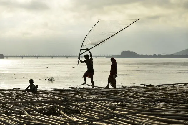 A man fishes along with his family as they stand on floating bamboo logs in the Brahamaputra river in Guwahati in the northeastern state of Assam on September 14, 2019. (Photo by David Talukdar/AFP Photo)