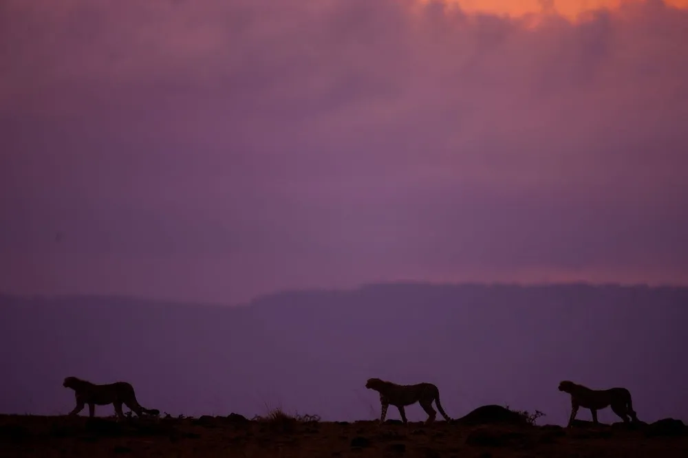 Sunsets on the Masai Mara