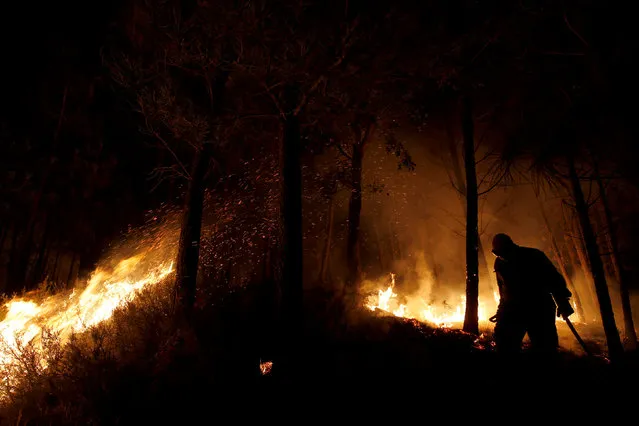 A firefighter works to put out a forest fire next to the village of Macao, near Castelo Branco, Portugal, August 17, 2017. (Photo by Rafael Marchante/Reuters)