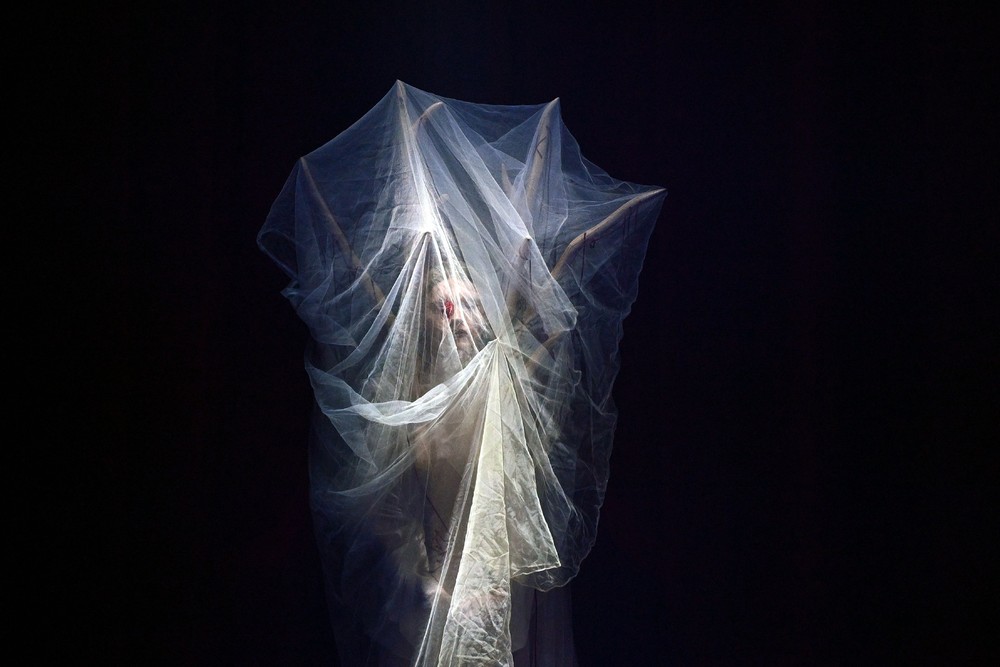 Pictures of the Year 2023, Part 191/224