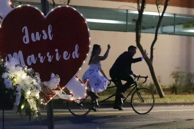 Lane and Christine Abraben depart their drive-thru wedding ceremony on a bicycle built for two after they were married at the Family and Civil courthouse in Gainesville, Fla. Thursday, May 14, 2020. Couples unable to have a traditional wedding because of the coronavirus pandemic took part in the drive-thru wedding ceremonies. (Photo by John Raoux/AP Photo)