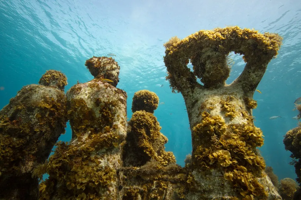 A Monumental Underwater Museum “MUSA”