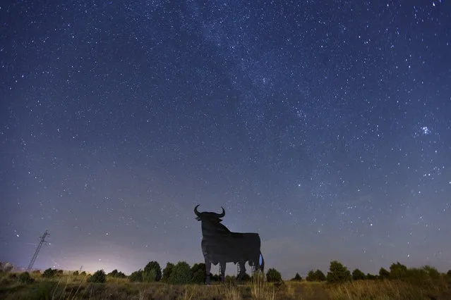 In this night photo a Perseid meteor streaks across the sky during the annual Perseid meteor shower above a roadside silhouette of a Spanish fighting bull, in Reduena, Spain, Friday, August 12, 2016. Scientists say this year the Perseid meteor shower will be more intense than normal, predicting up to 200 meteors per hour caused by a trail of debris from a comet orbiting the Sun. (Photo by Daniel Ochoa de Olza/AP Photo)