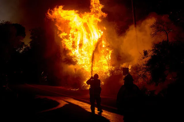 A firefighter sprays water as a wildfire races along Lytle Creek Road near Keenbrook, Calif., on Wednesday, August 17, 2016. Firefighters had at least established a foothold of control of the blaze the day after it broke out for unknown reasons in the Cajon Pass near Interstate 15, the vital artery between Los Angeles and Las Vegas.  (Photo by Noah Berger/AP Photo)
