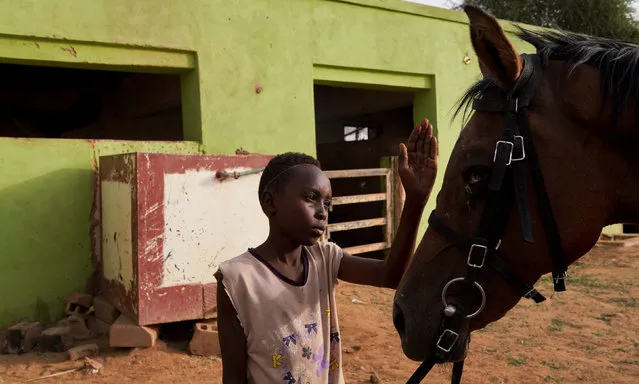 A boy pets a horse at the Equestrian Club, in Khartoum, Sudan, June 27, 2019. The club has had to cut back activities since popular unrest erupted in December and led to the fall of autocratic President Omar al-Bashir in April. (Photo by Andreea Campeanu/Reuters)