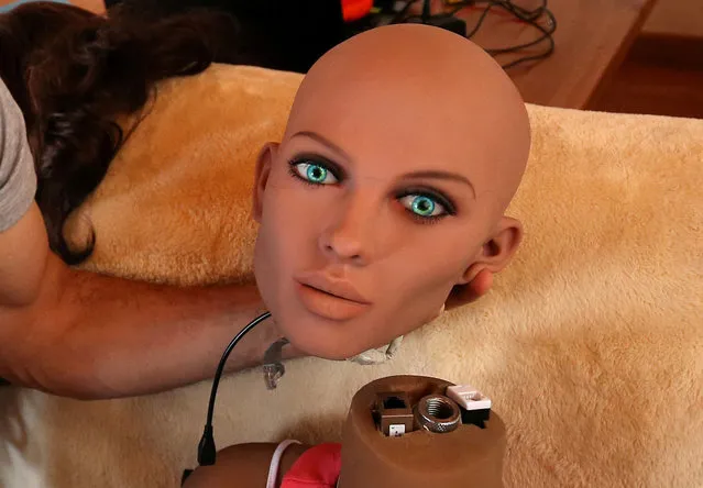 Catalan nanotechnology engineer Sergi Santos holds the head of Samantha, a s*x doll packed with artificial intelligence providing her the capability to respond to different scenarios and verbal stimulus, in his house in Rubi, north of Barcelona, Spain, March 31, 2017. (Photo by Albert Gea/Reuters)
