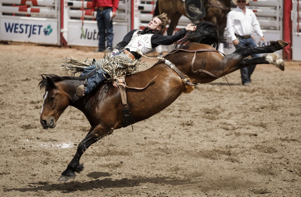 Some Photos: In Motion