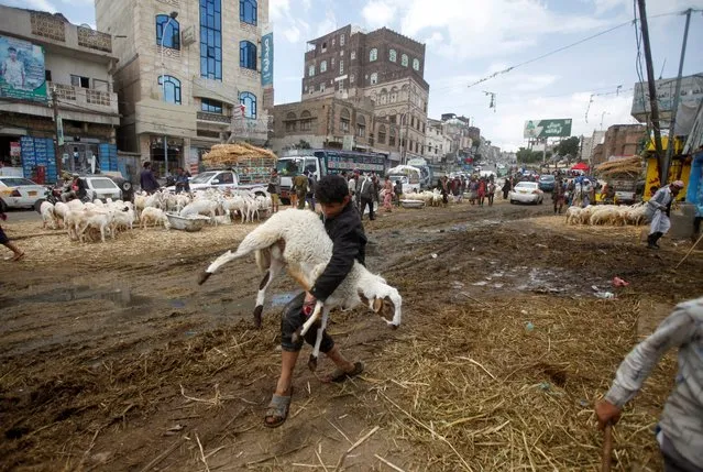 A man carries a sheep at a livestock market ahead of the Eid al-Adha festival amid the coronavirus pandemic in Sanaa, Yemen on July 28, 2020. (Photo by Mohamed al-Sayaghi/Reuters)