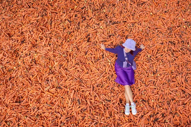 Student Lauren Gallagher with the art installation “Grounding” by Rafael Perez Evans, which is made up of 29 tonnes of unwanted carrots ouside the Ben Pimlott building at Goldsmiths College, London on October 1, 2020. (Photo by Dominic Lipinski/PA Images via Getty Images)