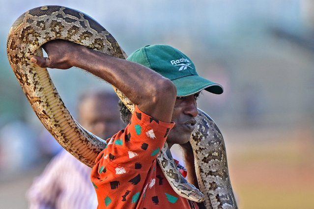 A snake charmer holds a python at the Galle Face promenade in Colombo on February 21, 2025. (Photo by Ishara S. Kodikara/AFP Photo)