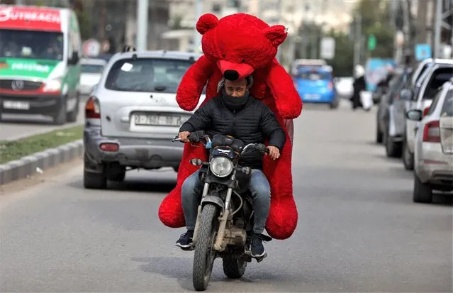 A Palestinian man holds a giant teddy bear as he rides a motorcycle on Valentine's day in Gaza city, on February 14, 2023. Valentine's Day is increasingly popular in the region as people have taken up the custom of giving flowers, cards, chocolates and gifts to sweethearts to celebrate the occasion. (Photo by Majdi Fathi/NurPhoto via Getty Images)