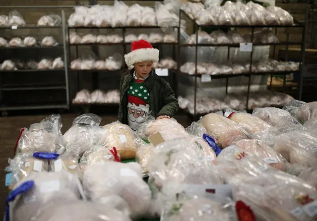 A young boy wearing a Santa hat looks at prize winning birds ahead of the Turkey and dressed poultry auction at Chelford Market, northern England December 22, 2014. (Photo by Phil Noble/Reuters)
