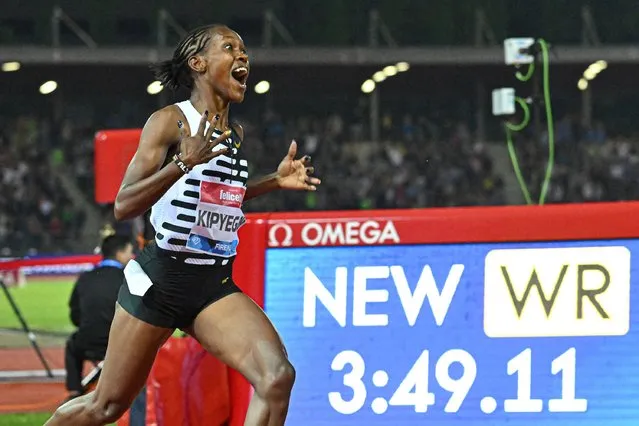 Kenya's Faith Kipyegon reacts as she wins the Women's 1500m event, setting a new world record of 3:49.11, during the Wanda Diamond League 2023 Golden Gala on June 2, 2023 at the Ridolfi stadium in Florence, Tuscany. (Photo by Filippo Monteforte/AFP Photo)