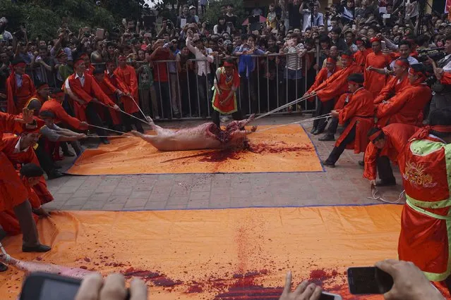 A participant hacks a pig with a sword during a festival at the Nem Thuong village in Bac Ninh, north of Hanoi, in this February 24, 2015 handout picture. (Photo by Reuters/Kham)