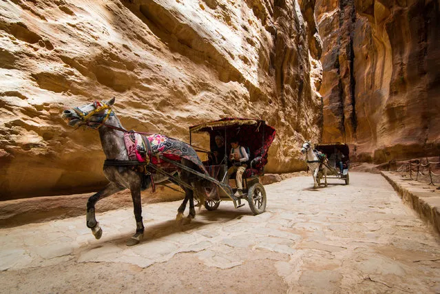 “A race to the treasure: horses are pulling excited tourists and workers to the bottom of the Siq, the main entrance to the ancient city of Petra in southern Jordan, where the famous Treasury is carved into the rock face”. (Photo by James Bridle/Guardian Witness)